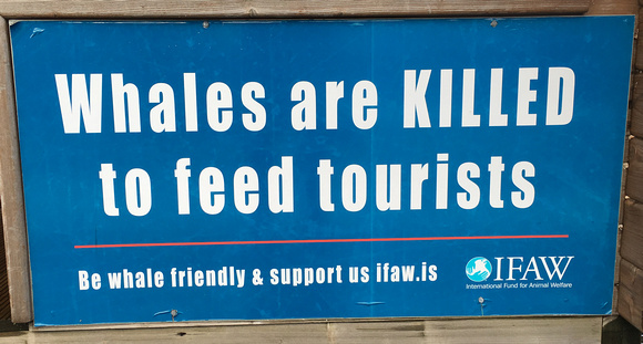 Whales are killed to feed tourists sign