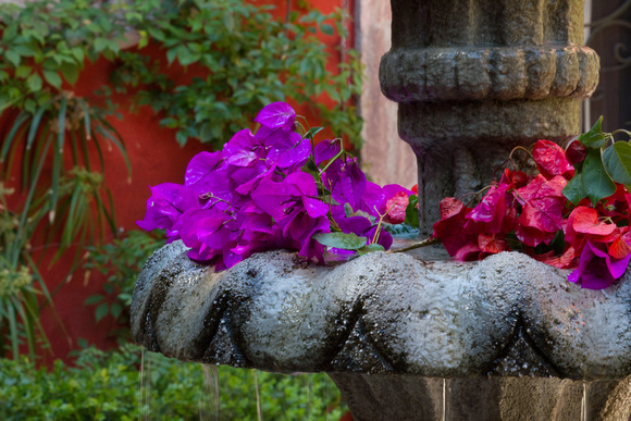 Casa Luna fountain with petals in foregroun